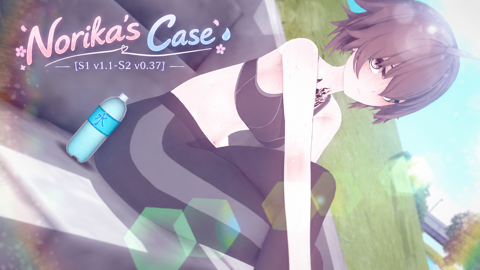 Norika's Case